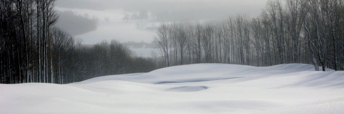 snow covered surface